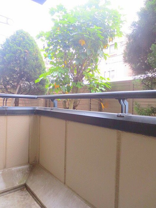 物件内観写真7　(ベランダ・バルコニー)