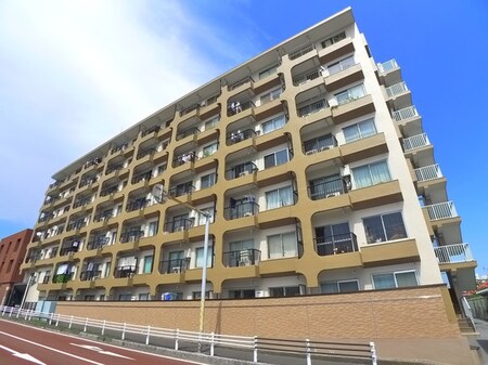サニ－松戸(315)外観写真
