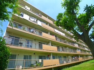 高洲一丁目団地17-2号棟（301）外観写真
