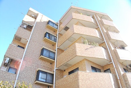 ﾗｲｵﾝｽﾞﾏﾝｼｮﾝ青戸第3(402)外観写真