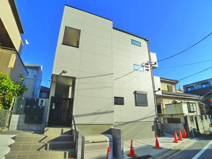 ＰＩＮＥ　ＴＲＥＥ