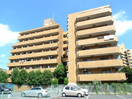 ﾗｲｵﾝｽﾞﾏﾝｼｮﾝ川口第１０(404)外観写真
