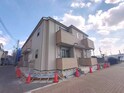 アムールカメリア