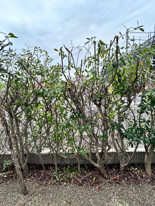 物件内観写真21　(室内からの展望)