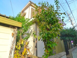 武藤様貸家外観写真