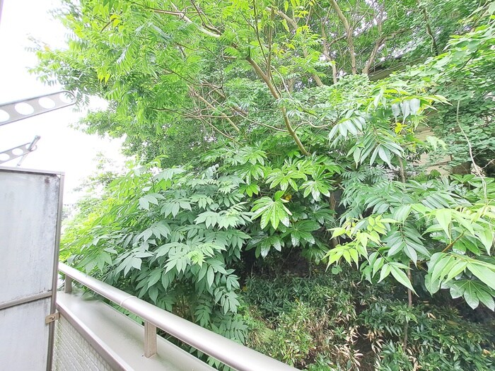 物件内観写真22　(室内からの展望)