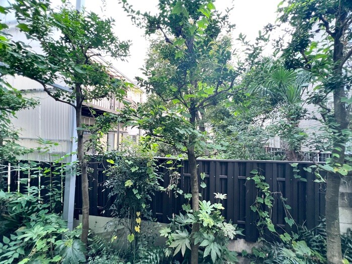 物件内観写真22　(室内からの展望)