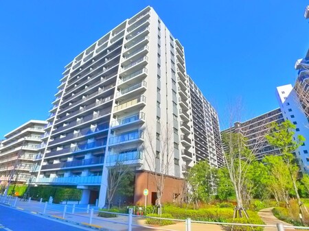 シティテラス金町E棟(336)外観写真