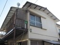 橋本ハイム
