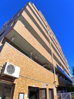ﾗｲｵﾝｽﾞﾏﾝｼｮﾝ板橋中丸町（506）外観写真