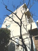 グリーンハイツ