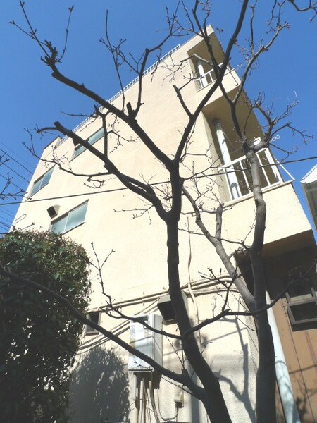グリーンハイツ外観写真
