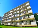 市川中山団地８号棟(５０３)