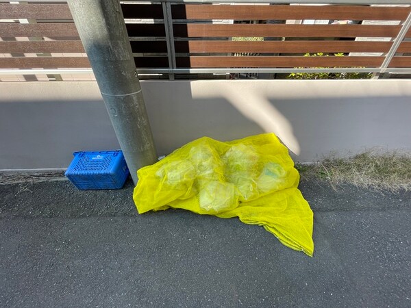 周辺環境