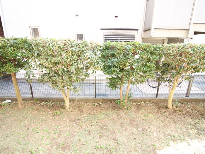 物件内観写真16　(室内からの展望)