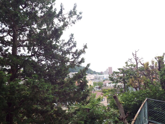 物件内観写真13　(室内からの展望)