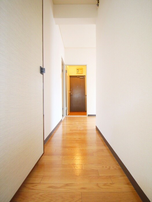 物件内観写真19　(廊下)