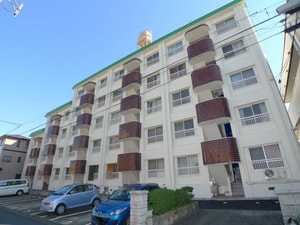 南浦和ローヤルコーポ（２０８）外観写真