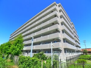 コスモ市川パセオ　（２０３）外観写真