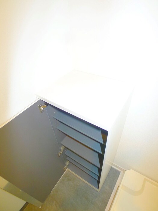 物件内観写真21　(靴箱)