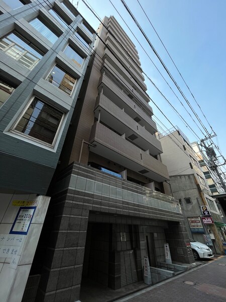 ﾊﾟﾚｽﾃｭﾃﾞｨｵ銀座一丁目（704）外観写真