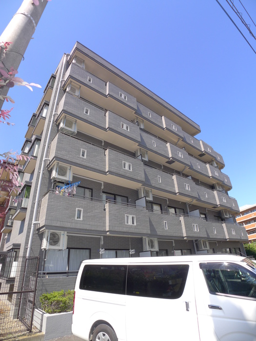 グレイスコート