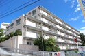 ドミール生田（４０９）