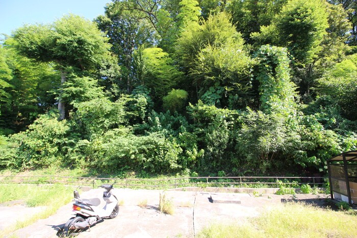 物件内観写真22　(室内からの展望)