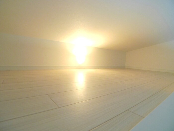 物件内観写真10　(ロフト)