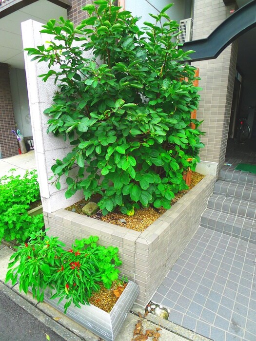 物件内観写真20　(周辺環境)