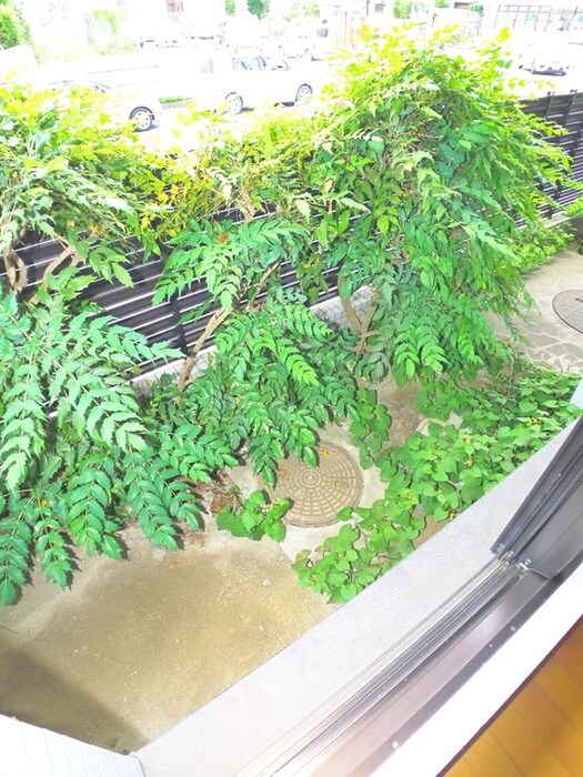 物件内観写真20　(ベランダ・バルコニー)