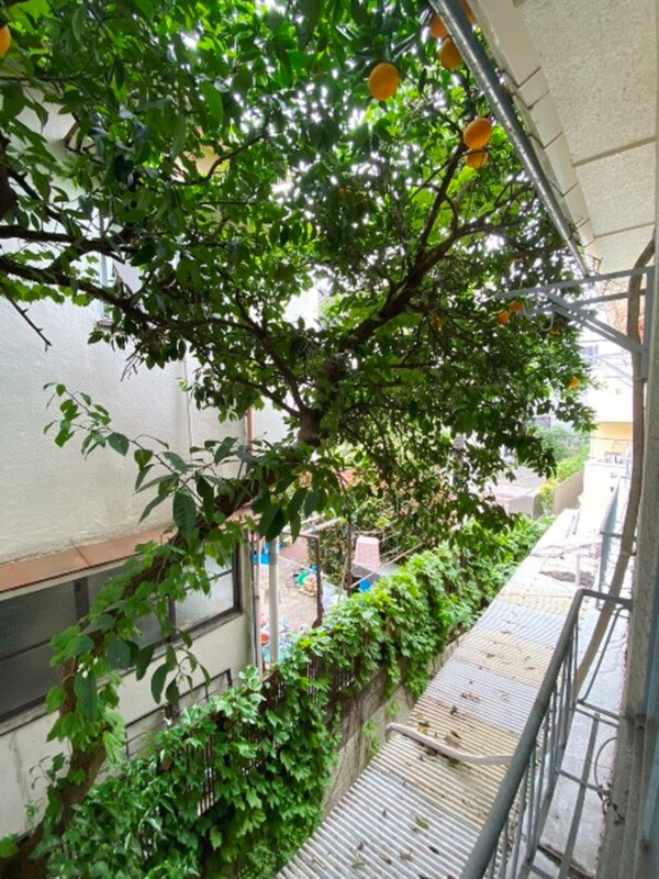 室内からの展望