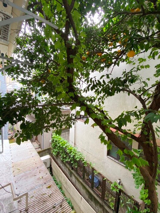 物件内観写真22　(ベランダ・バルコニー)