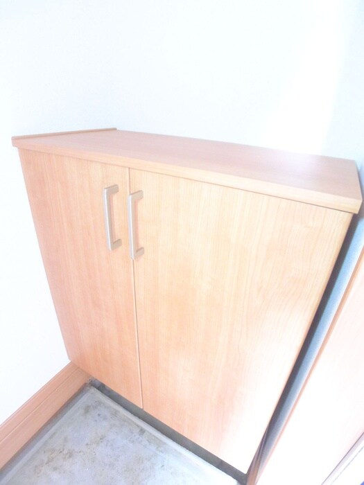 物件内観写真15　(靴箱)