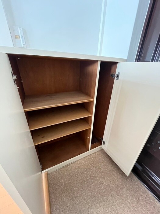 物件内観写真21　(靴箱)