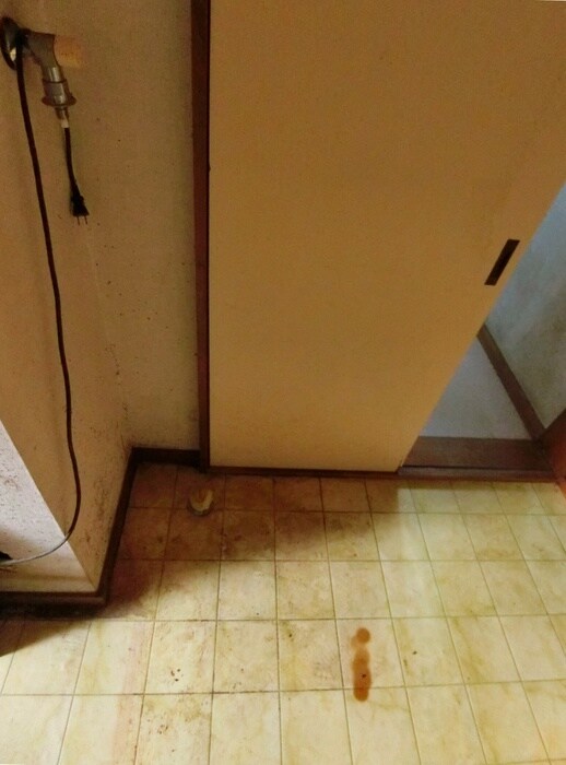 物件内観写真10　(洗濯機置場)