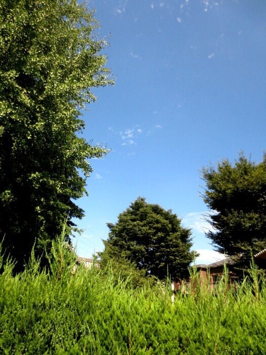 物件内観写真14　(周辺環境)