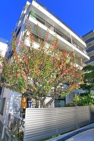 山正ハイム外観写真