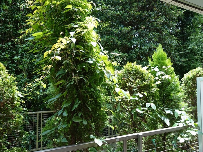 物件内観写真22　(室内からの展望)