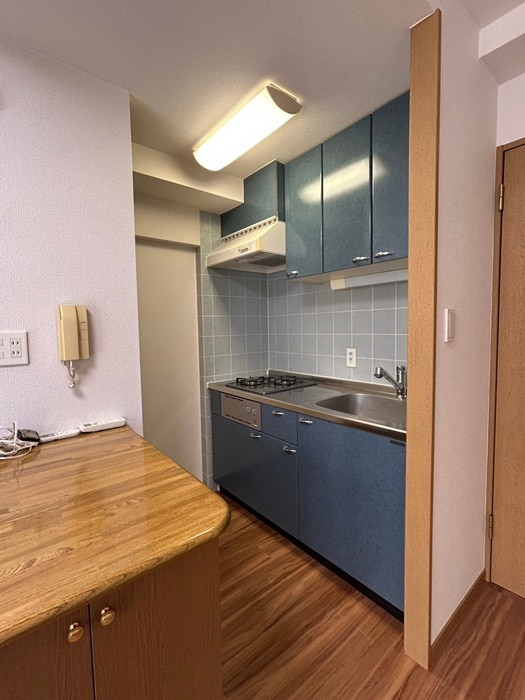 物件内観写真9　(キッチン)