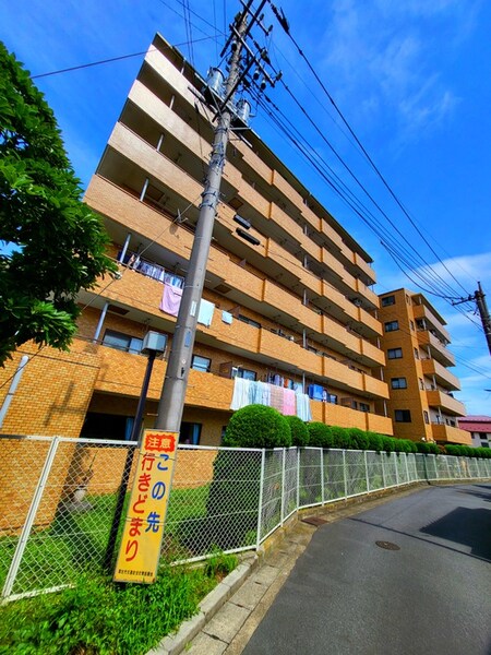 ﾗｲｵﾝｽﾞﾏﾝｼｮﾝ草加第２（７０３）外観写真