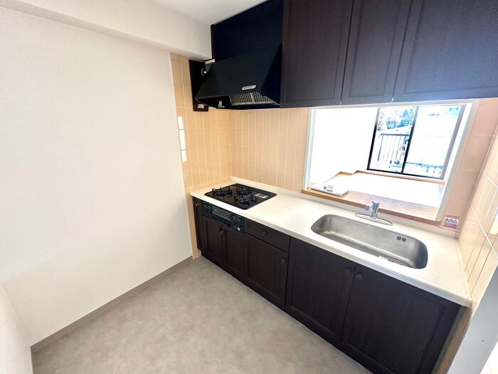 物件内観写真10　(キッチン)