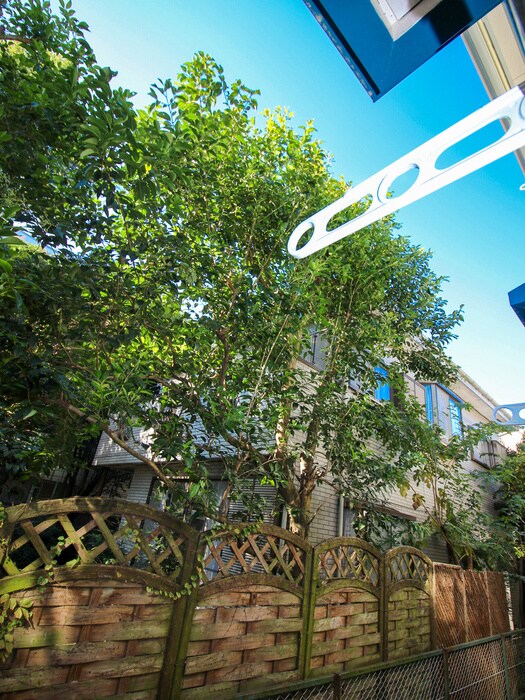 物件内観写真16　(室内からの展望)