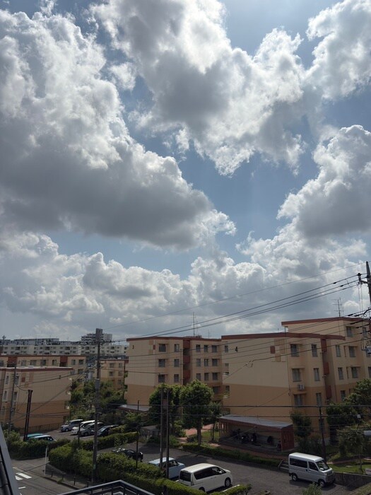 物件内観写真16　(室内からの展望)