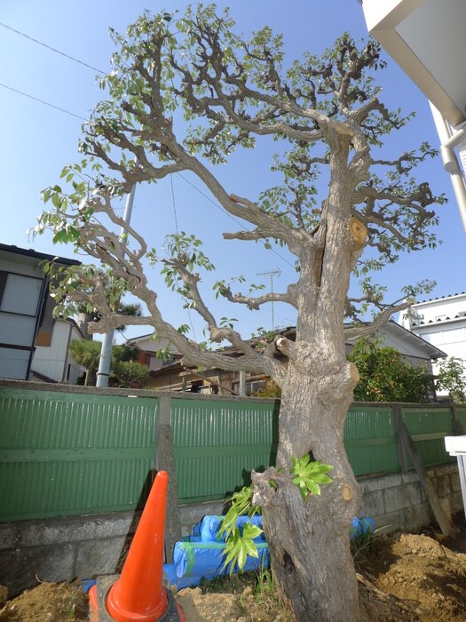 物件外観写真6　(その他)