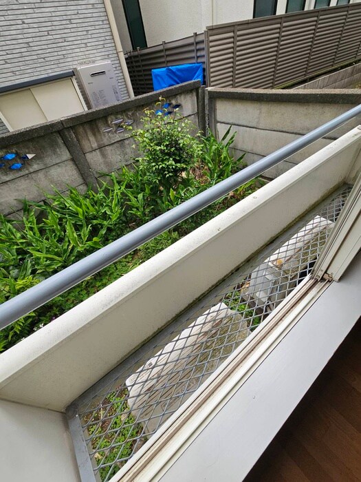 物件内観写真16　(靴箱)