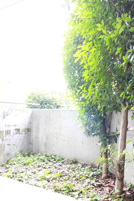 物件内観写真14　(ベランダ・バルコニー)