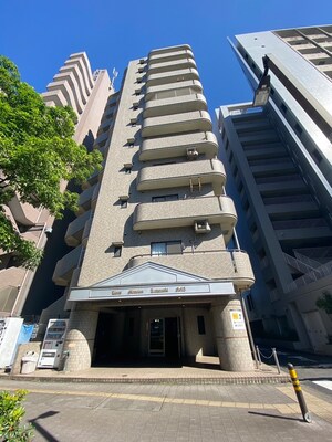ﾗｲｵﾝｽﾞﾏﾝｼｮﾝ川崎第１５(303)外観写真