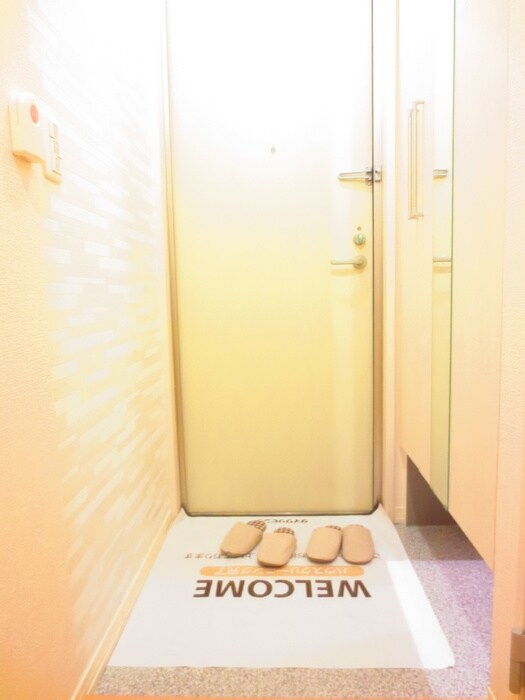 物件内観写真19　(玄関)