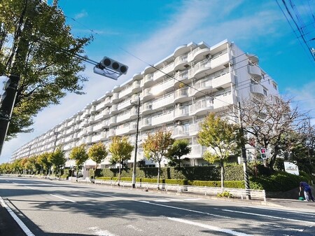 ﾆｭｰｼﾃｨ東戸塚光の街(305)外観写真